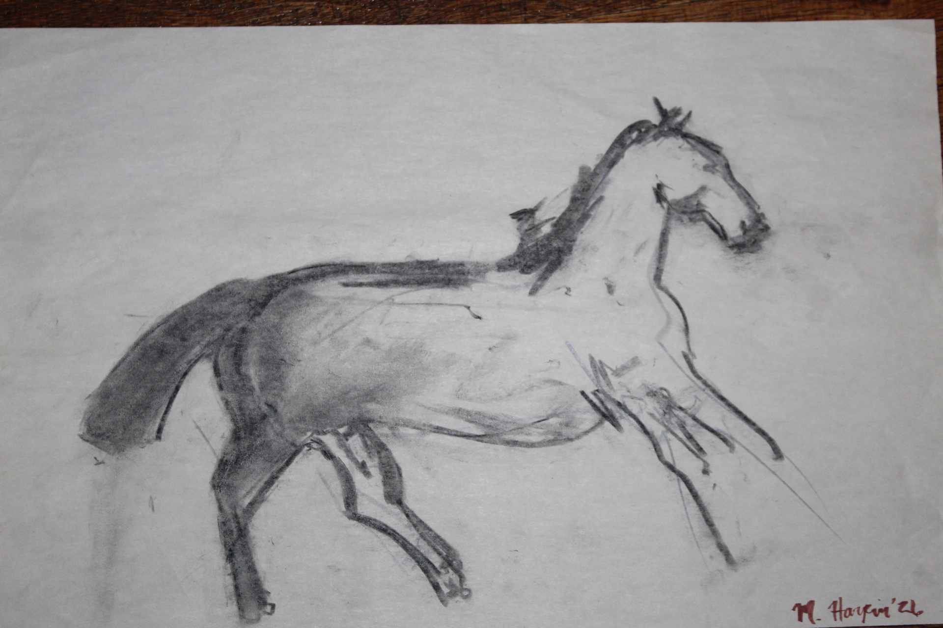 Horse for U