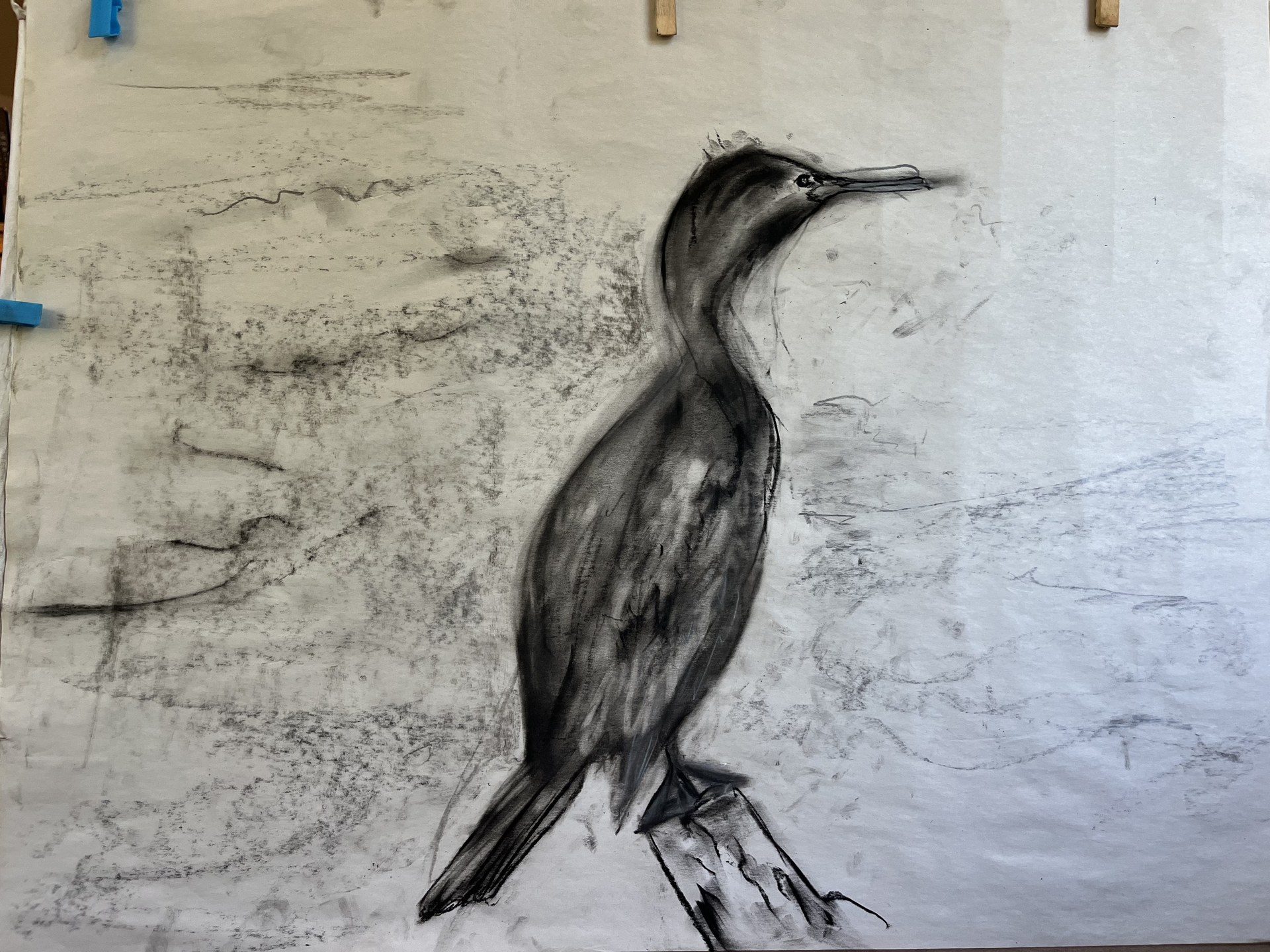 Cormorant
