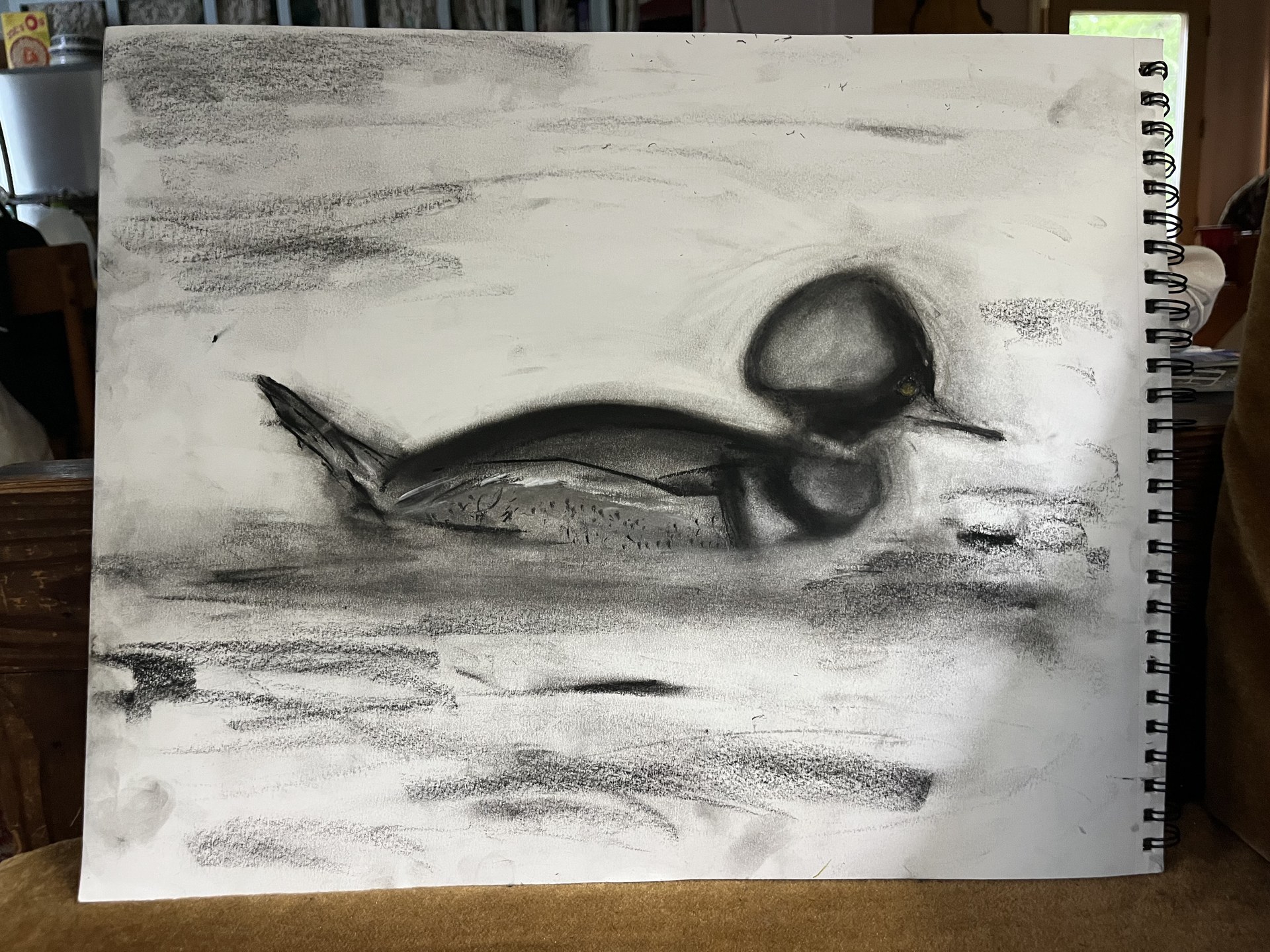 Hooded Merganser