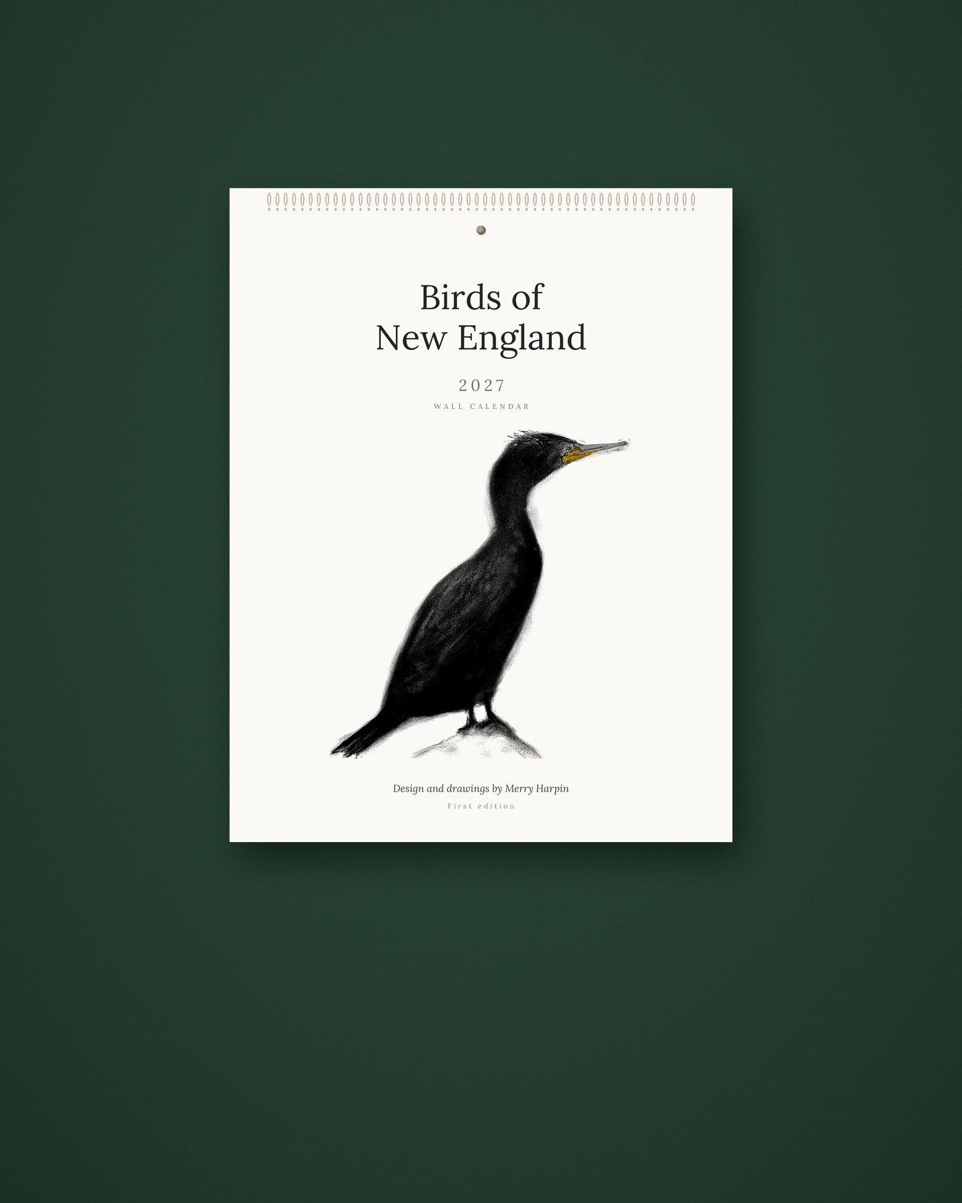 Birds of New England 2027 — Wall Calendar hanging on a wall, a cormorant drawing by Merry Harpin