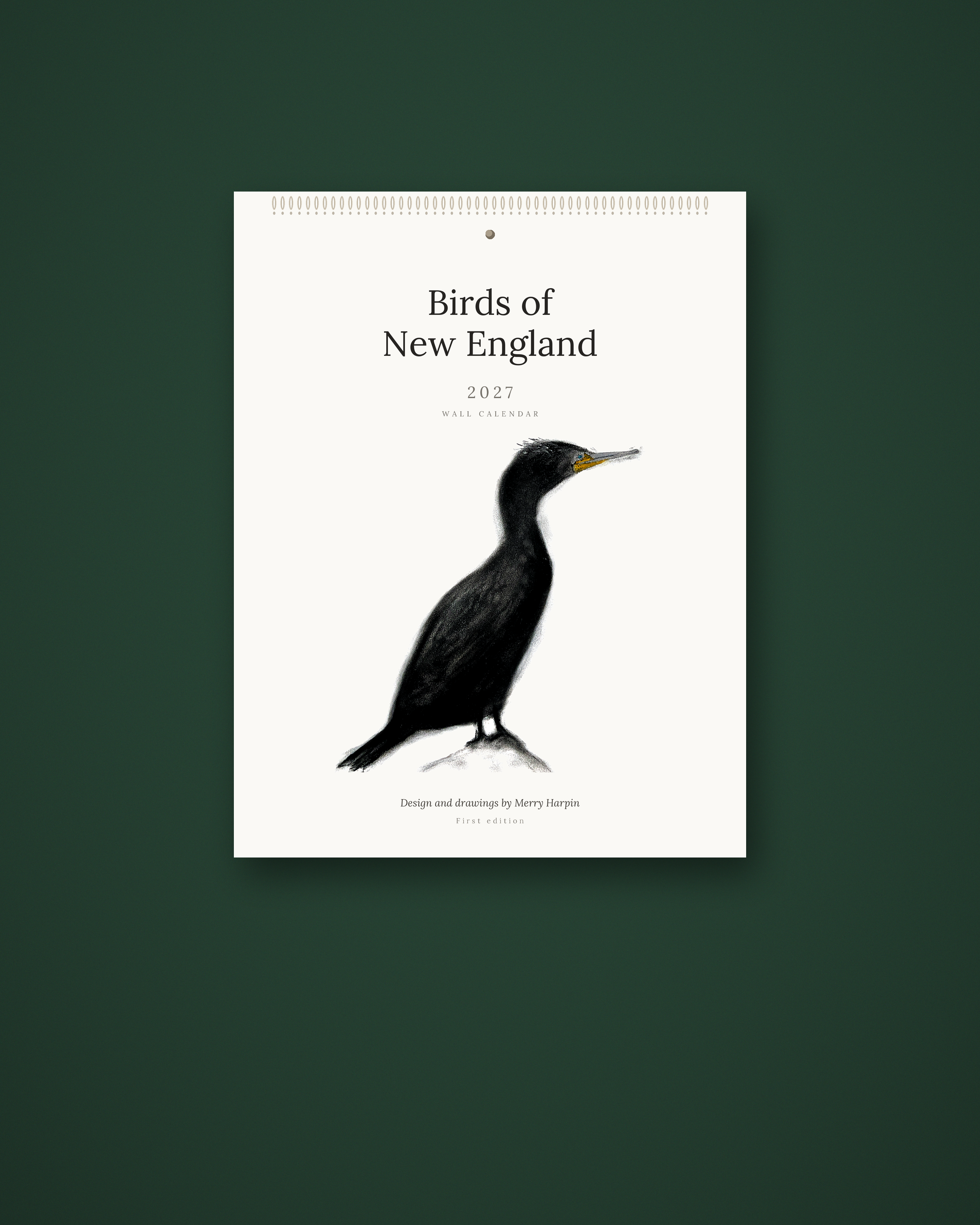 Birds of New England 2027 cover, hanging